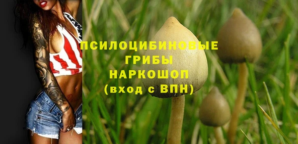 герыч Балахна