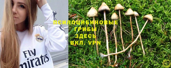герыч Балахна