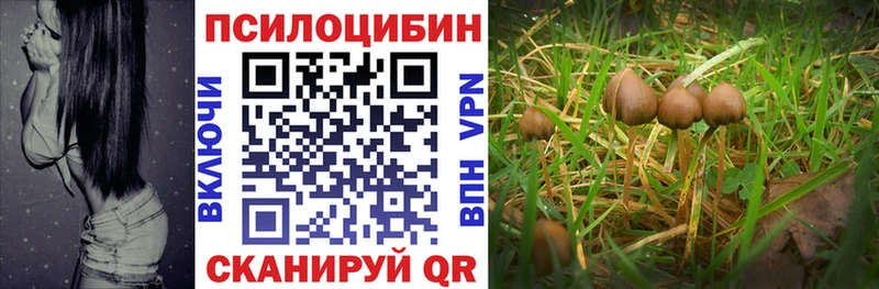 Галлюциногенные грибы Cubensis  что такое наркотик  Спас-Деменск 